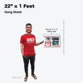 1 Foot / VIVID AF