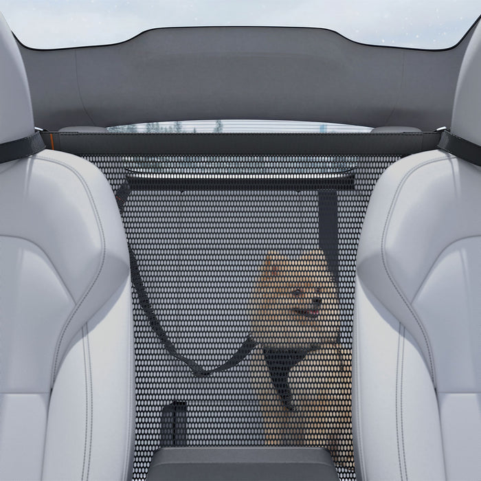 ACP11156 - Pet Car Backseat Barrier | PS200 in Black showing a dog with a backseat barrier