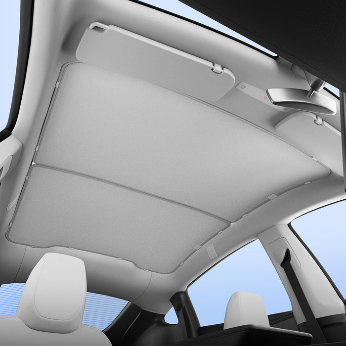 Model Y Performance (2025+) / Gray / In Stock